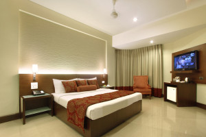 Comfort and Luxury Hotel Stay in Vadodara